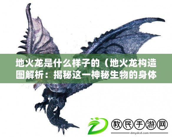 地火龍是什么樣子的（地火龍構造圖解析：揭秘這一神秘生物的身體結構與特征）