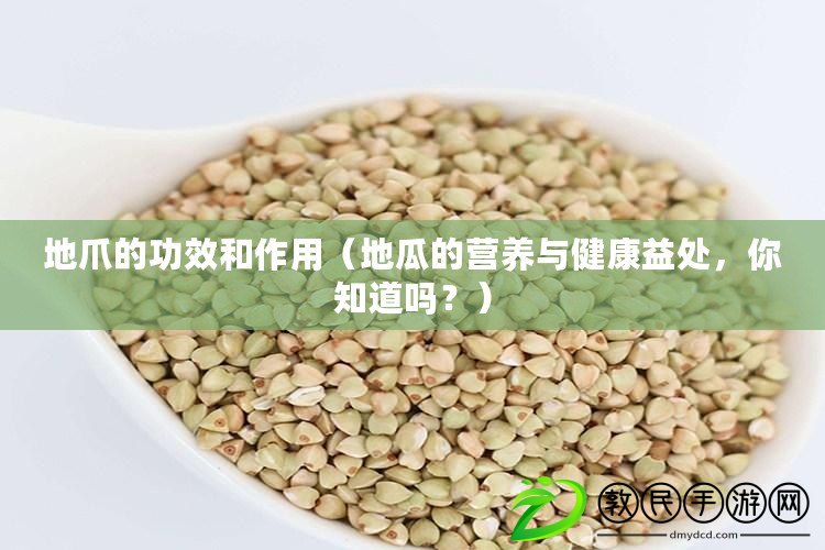 地爪的功效和作用（地瓜的營養與健康益處，你知道嗎？）