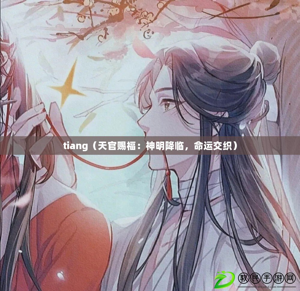 tiang（天官賜福：神明降臨，命運交織）