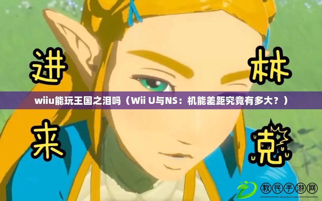 wiiu能玩王國之淚嗎（Wii U與NS：機能差距究竟有多大？）