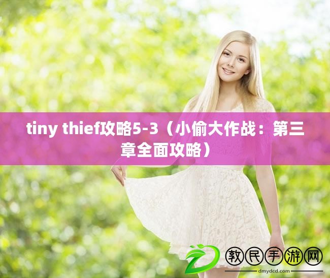 tiny thief攻略5-3（小偷大作戰：第三章全面攻略）