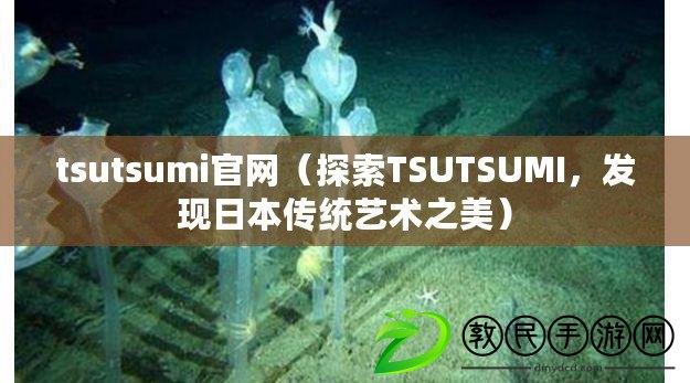 tsutsumi官網（探索TSUTSUMI，發現日本傳統藝術之美）