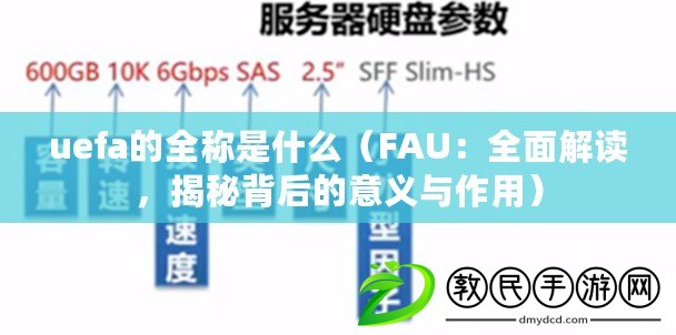 uefa的全稱是什么（FAU：全面解讀，揭秘背后的意義與作用）