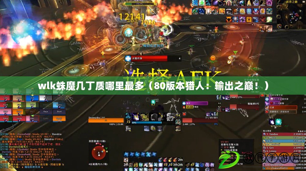 wlk蛛魔幾丁質哪里最多（80版本獵人：輸出之巔?。? title=