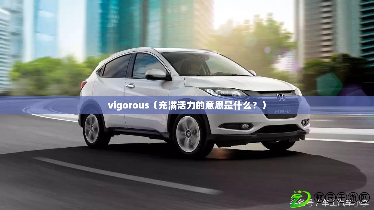 vigorous（充滿活力的意思是什么？）