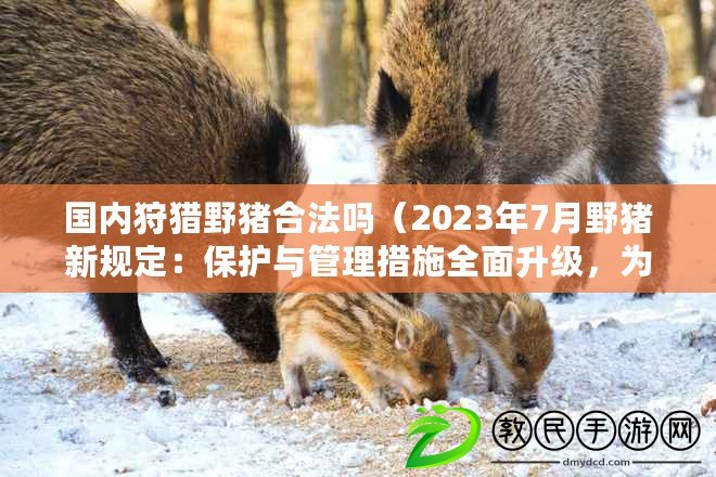 國內狩獵野豬合法嗎（2023年7月野豬新規定：保護與管理措施全面升級，為生態平衡注入新動力）