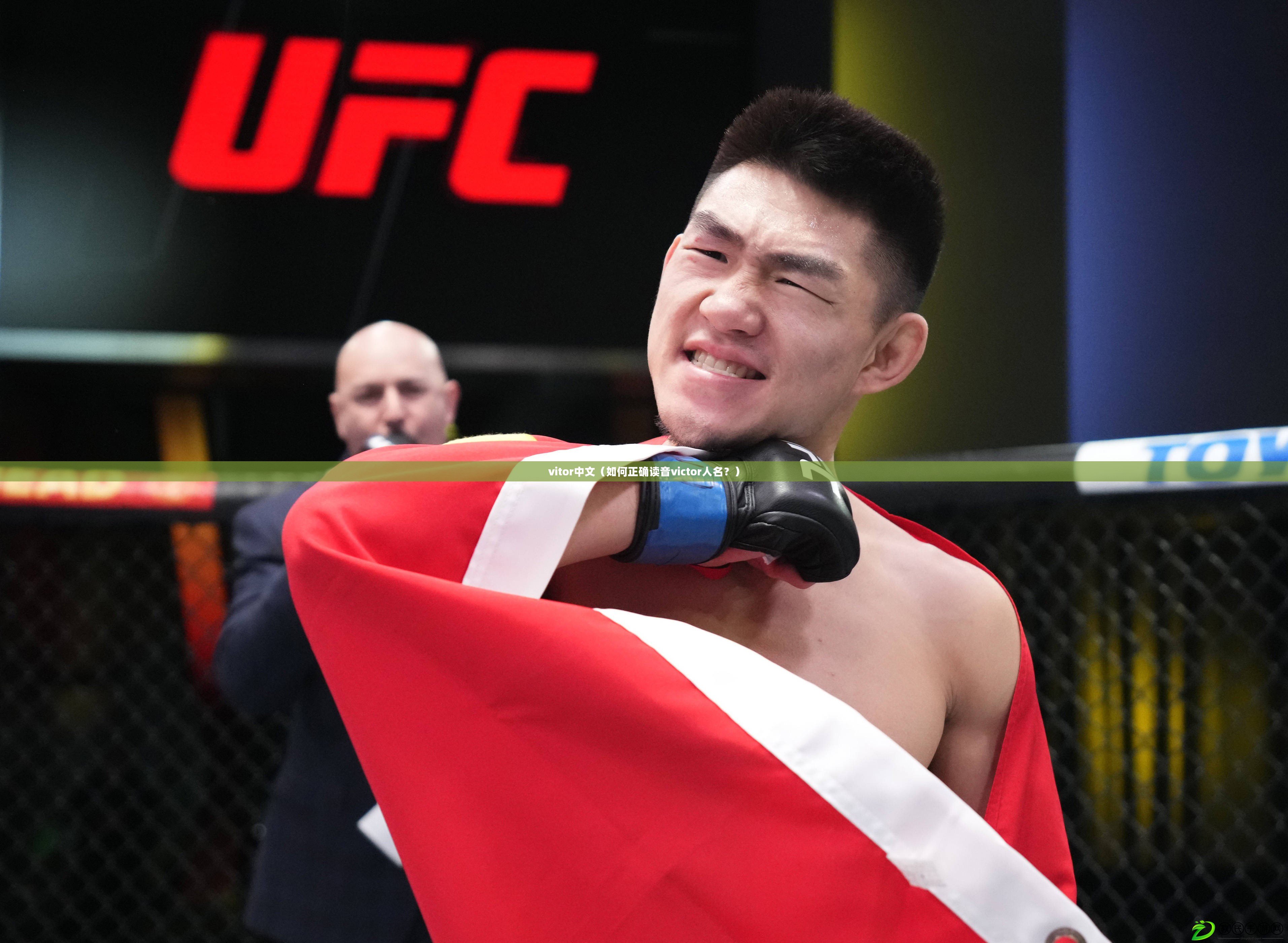 vitor中文（如何正確讀音victor人名？）