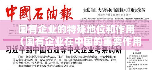 國有企業的特殊地位和作用（國有企業在中國的重要作用）