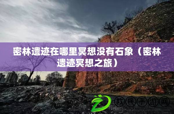 密林遺跡在哪里冥想沒有石象(密林遺跡冥想之旅) 密林遺跡在哪里冥想沒有石象(密林遺跡冥想之旅)