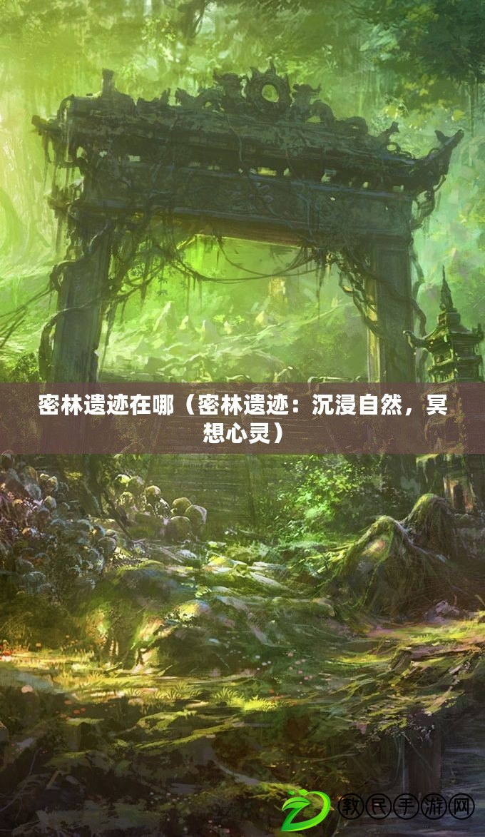 密林遺跡在哪（密林遺跡：沉浸自然，冥想心靈）