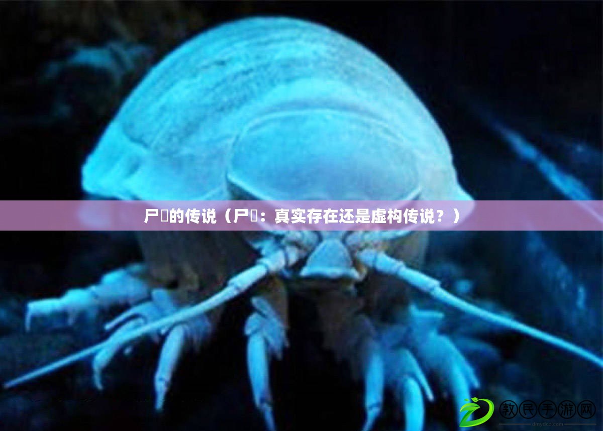 尸蟞的傳說（尸蟞：真實存在還是虛構傳說？）