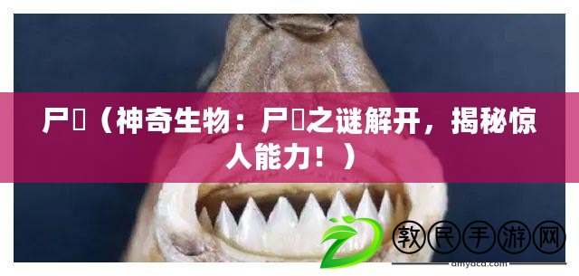 尸蟞（神奇生物：尸蟞之謎解開，揭秘驚人能力?。? title=