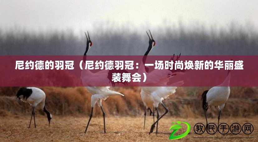尼約德的羽冠（尼約德羽冠：一場時尚煥新的華麗盛裝舞會）