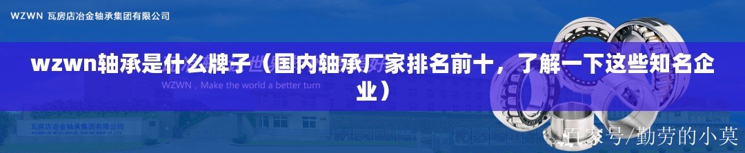 wzwn軸承是什么牌子（國內軸承廠家排名前十，了解一下這些知名企業）