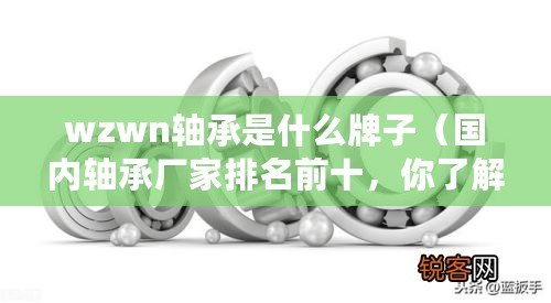 wzwn軸承是什么牌子（國內軸承廠家排名前十，你了解多少？）