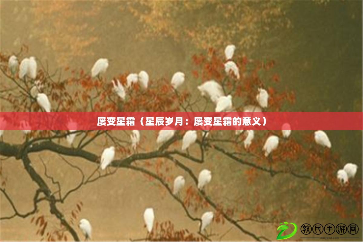 屢變星霜(星辰歲月:屢變星霜的意義) 屢變星霜(星辰歲月:屢變星霜的意義)