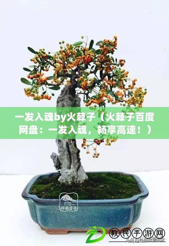 一發入魂by火棘子（火棘子百度網盤：一發入魂，暢享高速?。? title=