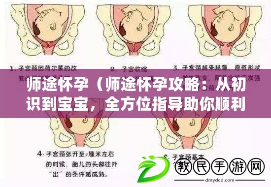 師途懷孕（師途懷孕攻略：從初識到寶寶，全方位指導助你順利迎接新生命?。? title=