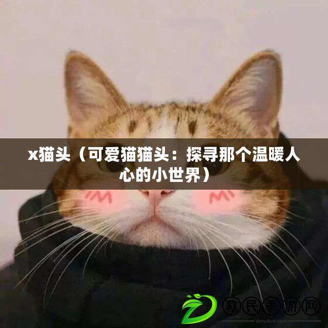 x貓頭（可愛貓貓頭：探尋那個溫暖人心的小世界）