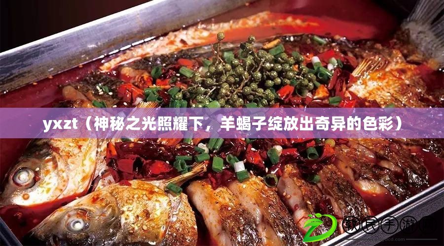 yxzt（神秘之光照耀下，羊蝎子綻放出奇異的色彩）