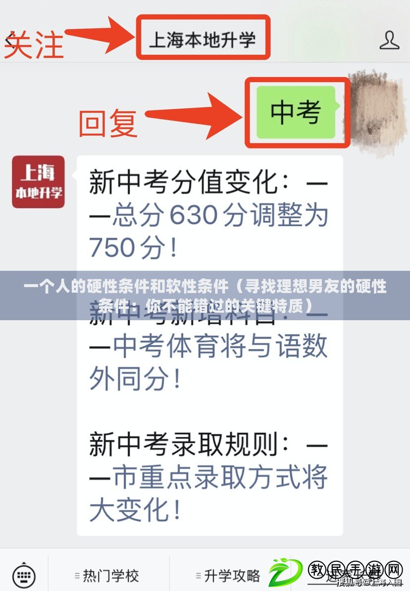 一個人的硬性條件和軟性條件（尋找理想男友的硬性條件：你不能錯過的關鍵特質）