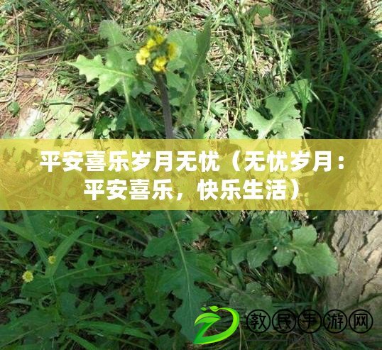 平安喜樂歲月無憂（無憂歲月：平安喜樂，快樂生活）