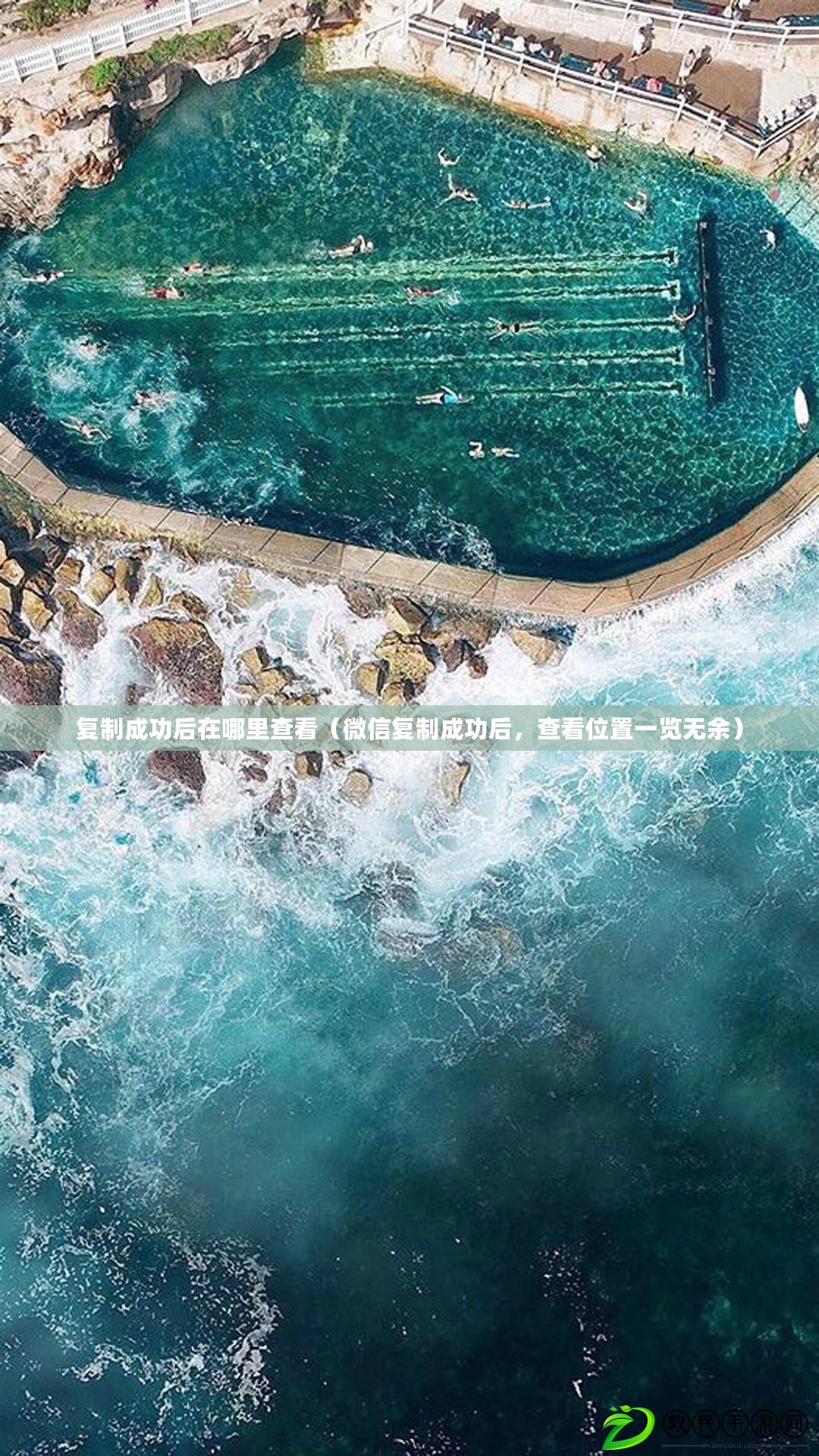 復制成功后在哪里查看（微信復制成功后，查看位置一覽無余）
