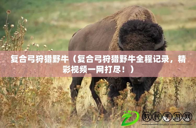 復合弓狩獵野牛（復合弓狩獵野牛全程記錄，精彩視頻一網打盡?。? title=