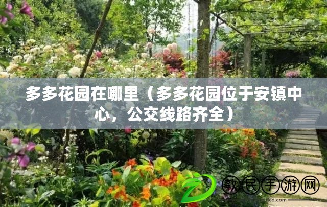 多多花園在哪里（多多花園位于安鎮中心，公交線路齊全）