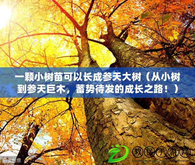 一顆小樹苗可以長成參天大樹（從小樹到參天巨木，蓄勢待發的成長之路?。? title=