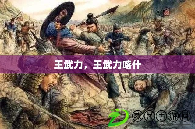 王武力，王武力喀什