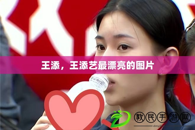 王添，王添藝最漂亮的圖片