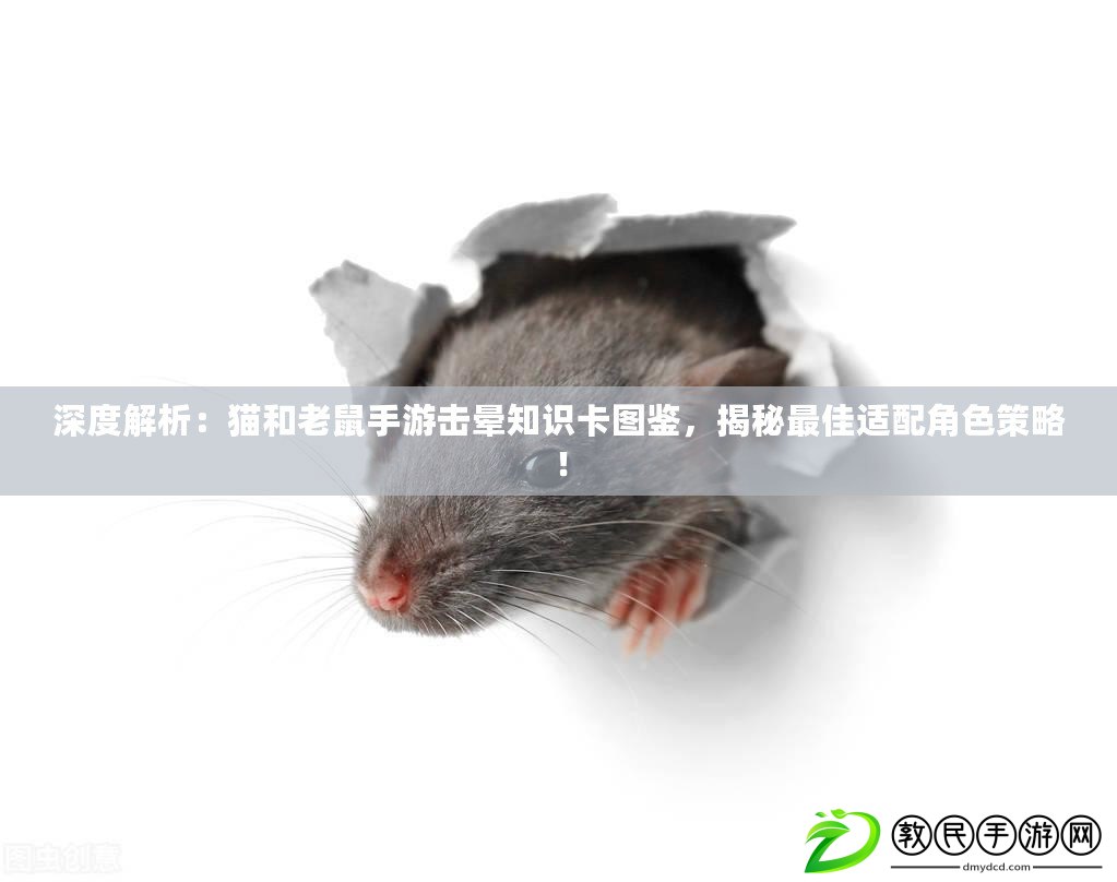 深度解析：貓和老鼠手游擊暈知識卡圖鑒，揭秘最佳適配角色策略！