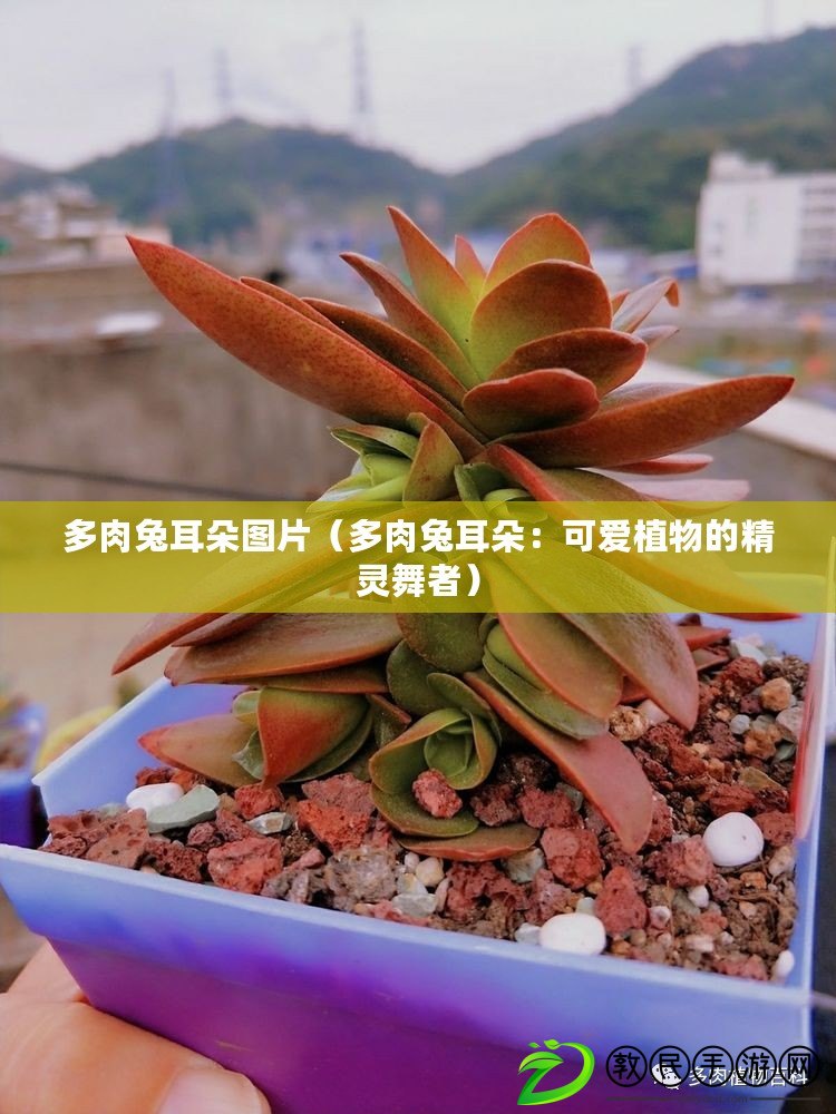 gendarmerie是干嘛的（什么是gendarmie？）
