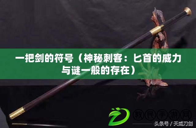 一把劍的符號（神秘刺客：匕首的威力與謎一般的存在）