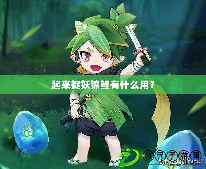 起來捉妖錦鯉有什么用？