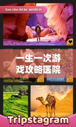 一生一次游戲攻略醫院密碼（一生一次游戲醫院門密碼：解鎖奇妙世界的鑰匙）
