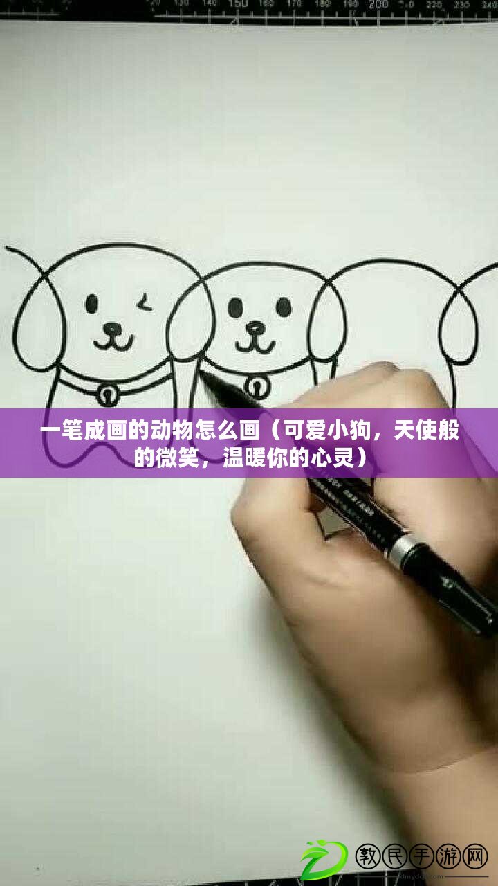 一筆成畫的動物怎么畫（可愛小狗，天使般的微笑，溫暖你的心靈）