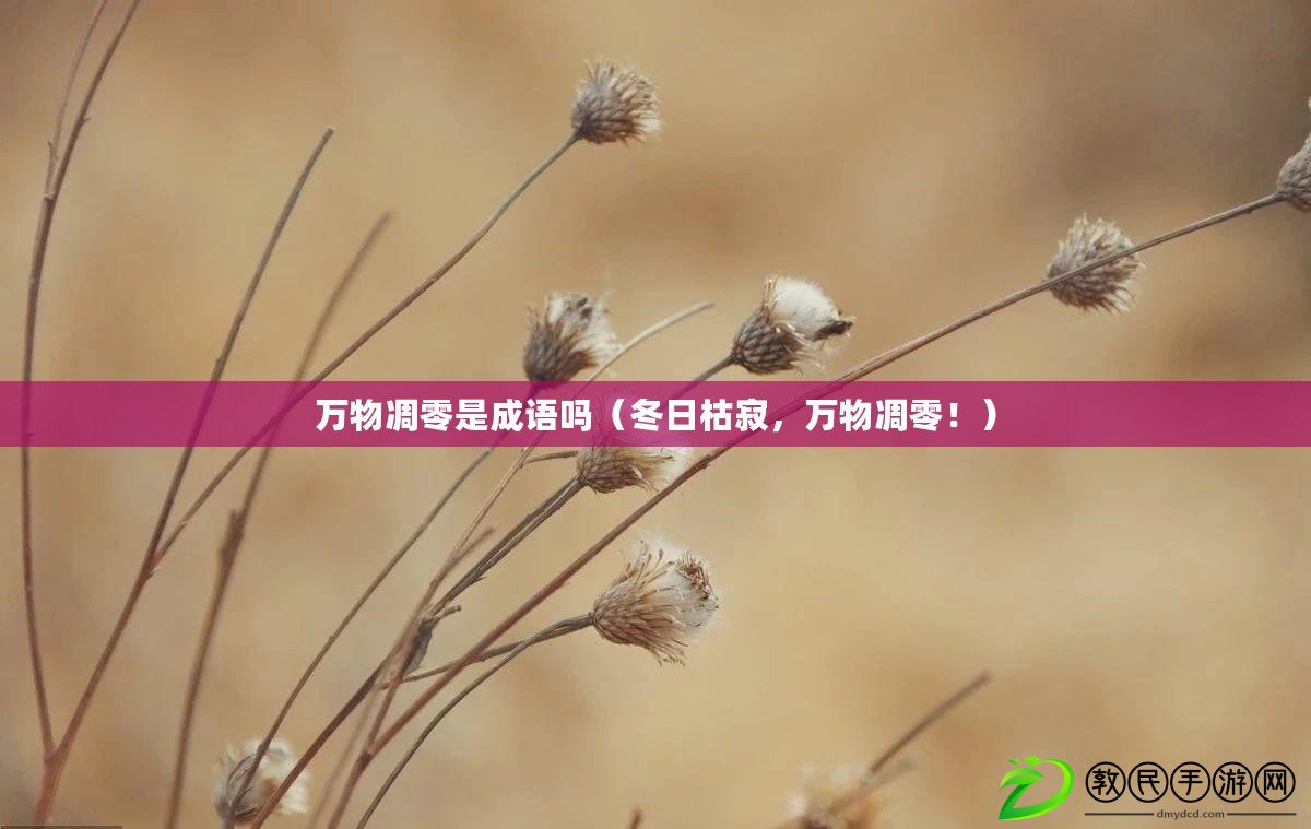 萬物凋零是成語嗎（冬日枯寂，萬物凋零?。? title=
