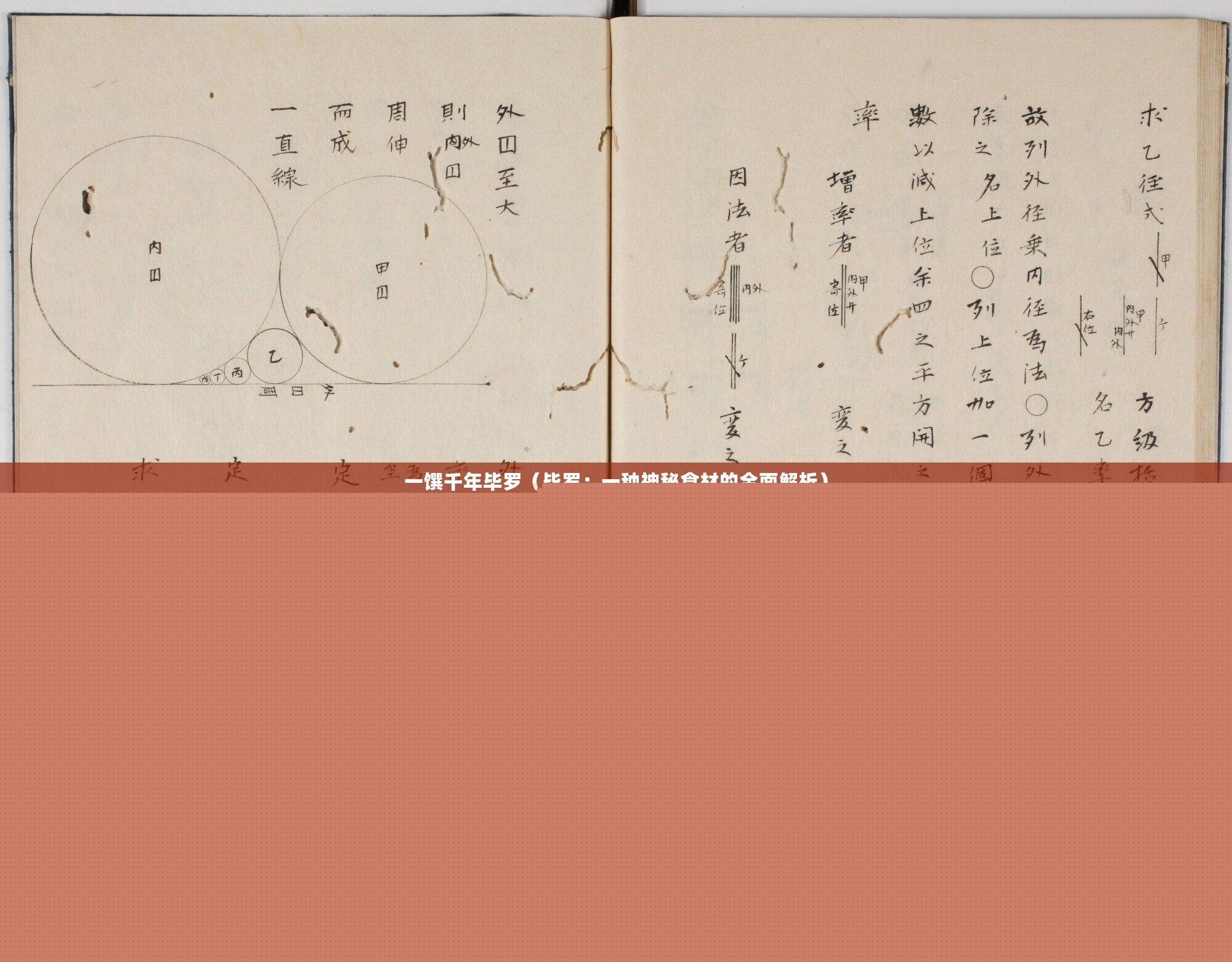 一饌千年畢羅(畢羅:一種神秘食材的全面解析) 一饌千年畢羅(畢羅:一種神秘食材的全面解析)