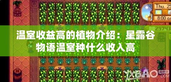 溫室收益高的植物介紹：星露谷物語溫室種什么收入高
