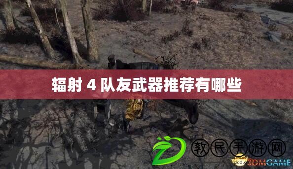 輻射 4 隊友武器推薦有哪些