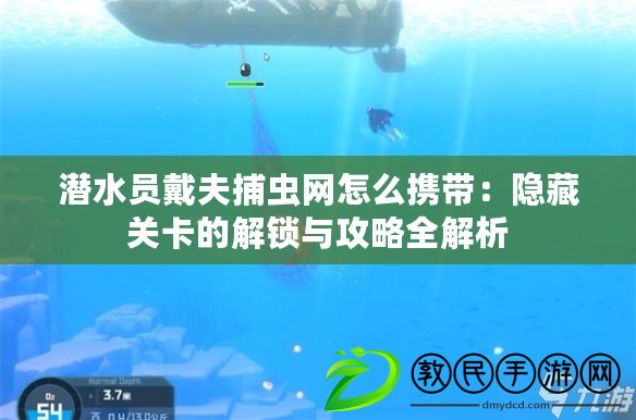潛水員戴夫捕蟲網怎么攜帶：隱藏關卡的解鎖與攻略全解析