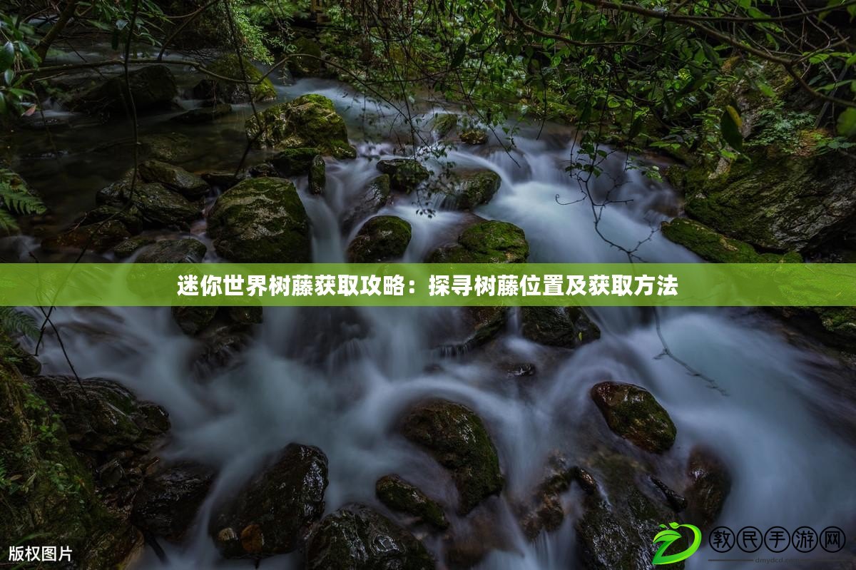 迷你世界樹藤獲取攻略:探尋樹藤位置及獲取方法 迷你世界樹藤獲取攻略:探尋樹藤位置及獲取方法