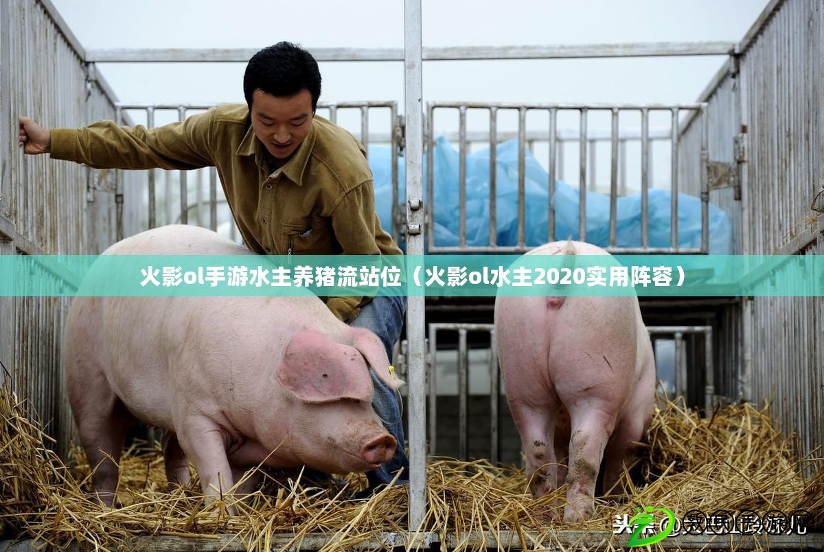 火影ol手游水主養豬流站位(火影ol水主2020實用陣容) 火影ol手游水主養豬流站位(火影ol水主2020實用陣容)