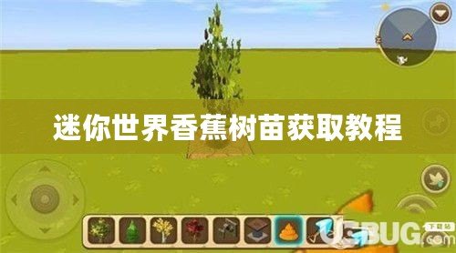 迷你世界香蕉樹苗獲取教程 迷你世界香蕉樹苗獲取教程