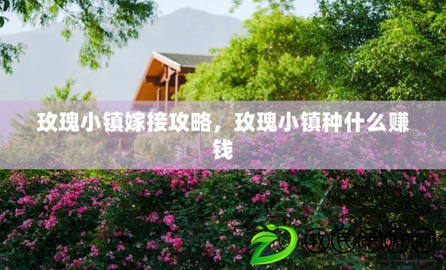 玫瑰小鎮嫁接攻略，玫瑰小鎮種什么賺錢