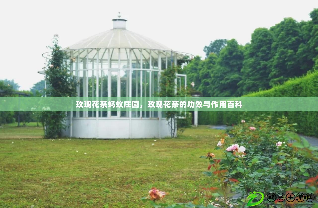 玫瑰花茶螞蟻莊園，玫瑰花茶的功效與作用百科