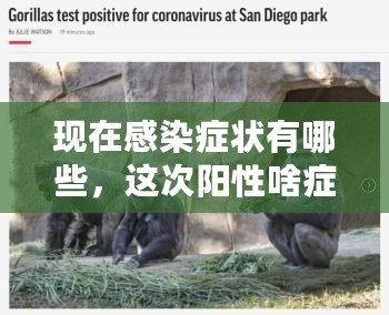 現在感染癥狀有哪些，這次陽性啥癥狀怎么治療