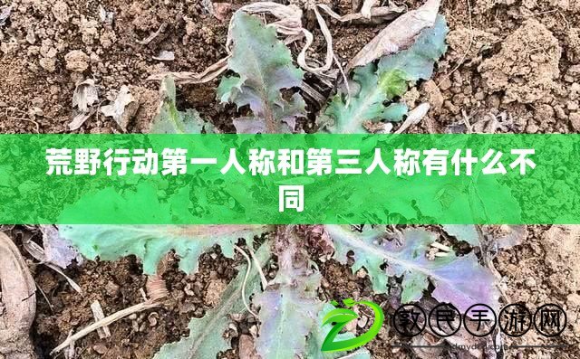 荒野行動第一人稱和第三人稱有什么不同